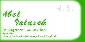 abel valusek business card